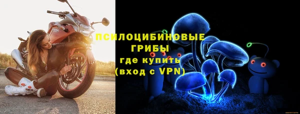сатива Белокуриха