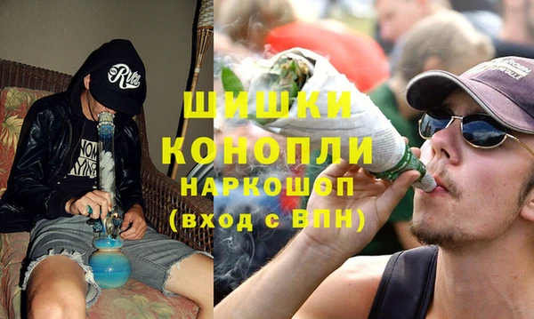 индика Беломорск