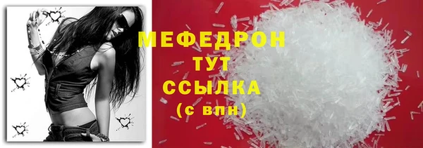 индика Беломорск