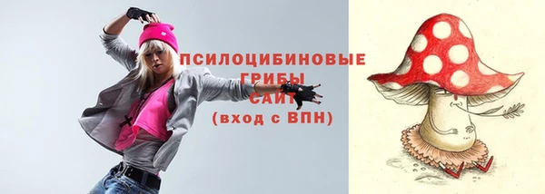 сатива Белокуриха
