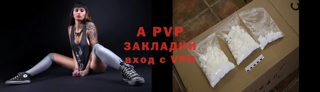 сатива Белокуриха
