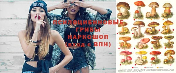 ГАЛЛЮЦИНОГЕННЫЕ ГРИБЫ Сосновоборск
