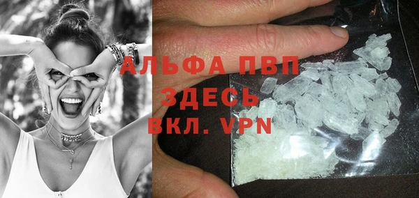 индика Беломорск