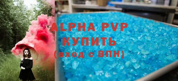 индика Беломорск