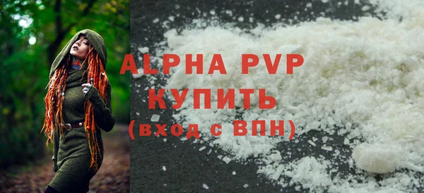 индика Беломорск