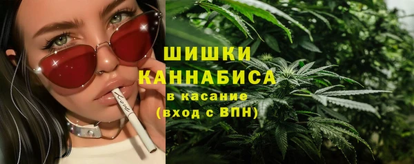 индика Беломорск