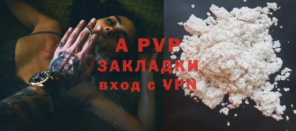 сатива Белокуриха