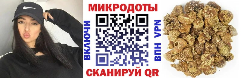Галлюциногенные грибы мицелий  где купить наркотик  KRAKEN ССЫЛКА  Светлогорск 