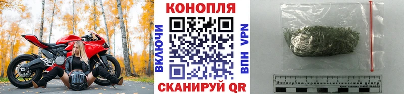 Бошки марихуана конопля Светлогорск